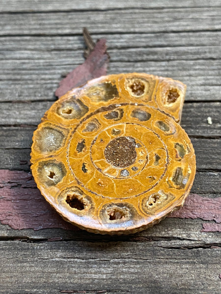 V0586 Vintage Madagascar Ammonite Fossil Cabochon