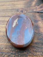 G3338  Polished Petrified Wood Worry Stone