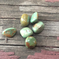 B1760  SIX (6) Vintage Turquoise Magnesite Nugget Beads