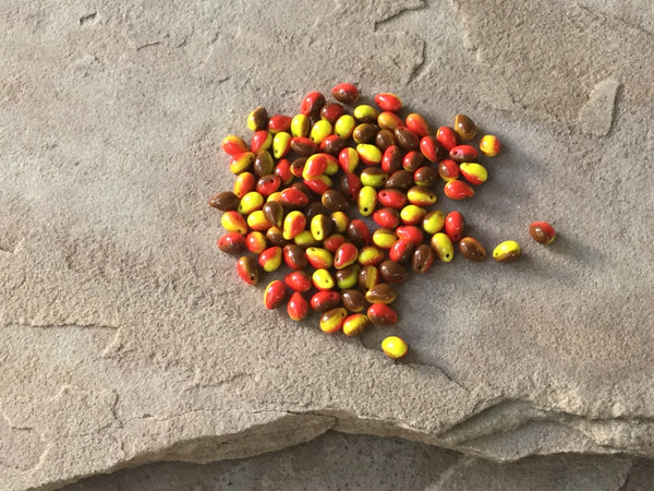 B3547  a “LOT” of Czech Glass Teardrop  Beads “Red/Yellow”